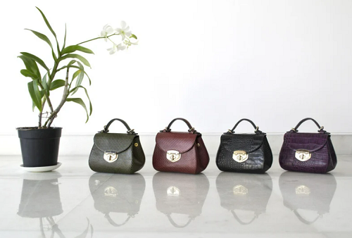 Women's handbag— different color of the same item